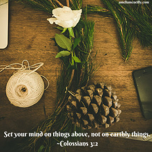 Set your mind on things above, not on earthly things.~Colossians 3_2