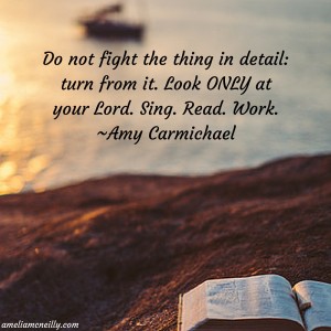 Do not fight the thing in detail_ turn from it. Look ONLY at your Lord. Sing. Read. Work.~Amy Carmichael