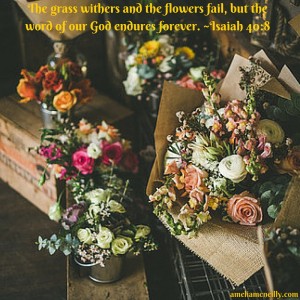 The grass withers and the flowers fall, but the word of our God endures forever.~Isaiah 40_8