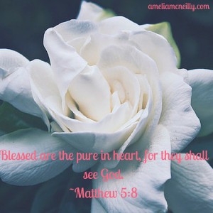 Blessed are the pure in heart , for they will see God.-Matthew 5-8