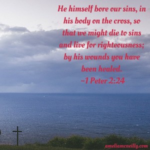 He himself bore our sins, in his body on the cross, so that we might die to sins and live for righteousness; by his wounds you have been healed. -1 Peter 2-24