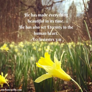 He has made everything beautiful in its time. He has also set eternity in the human heart; yet no one can fathom what God has done from beginning to end.-Ecclesiastes 3-11