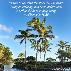 Ascribe to the Lord the glory due His name; Bring an offering, and come before Him; Worship the Lord in holy array.~1 Chronicles 16_29