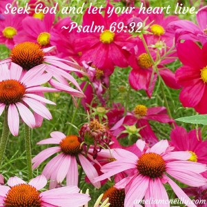 Seek God and let your heart live.~Psalm 69_32