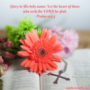 glory-in-his-holy-name-let-the-heart-of-those-who-seek-the-lord-be-glad-1