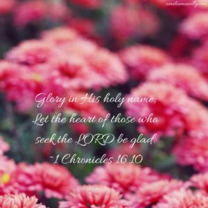 glory-in-his-holy-name-let-the-heart-of-those-who-seek-the-lord-be-glad